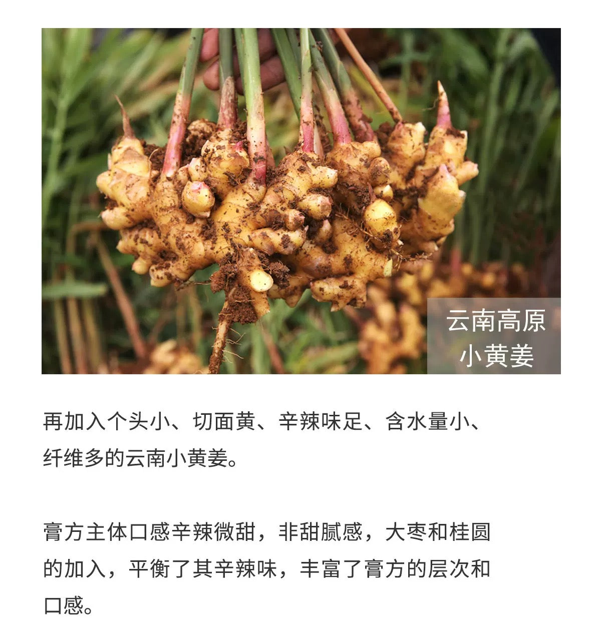 曾小苗 【红糖姜栆膏】 三伏天祛湿驱寒必备 0添加0防腐剂