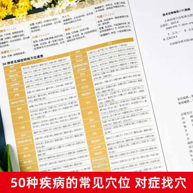《人体经络穴位标准大图册》