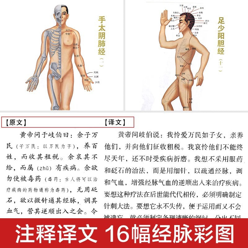 黄帝内经全2册完整版