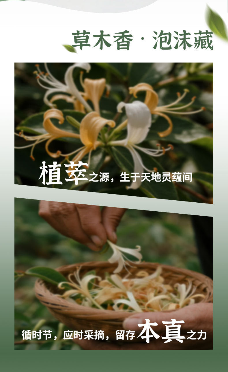 🌿【草本植物洁面慕斯】萃取金银花🌼、积雪草🍀、丹参🍃...等六种中草泡沫洗面乳