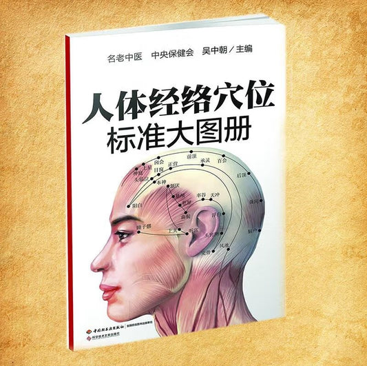 《人体经络穴位标准大图册》