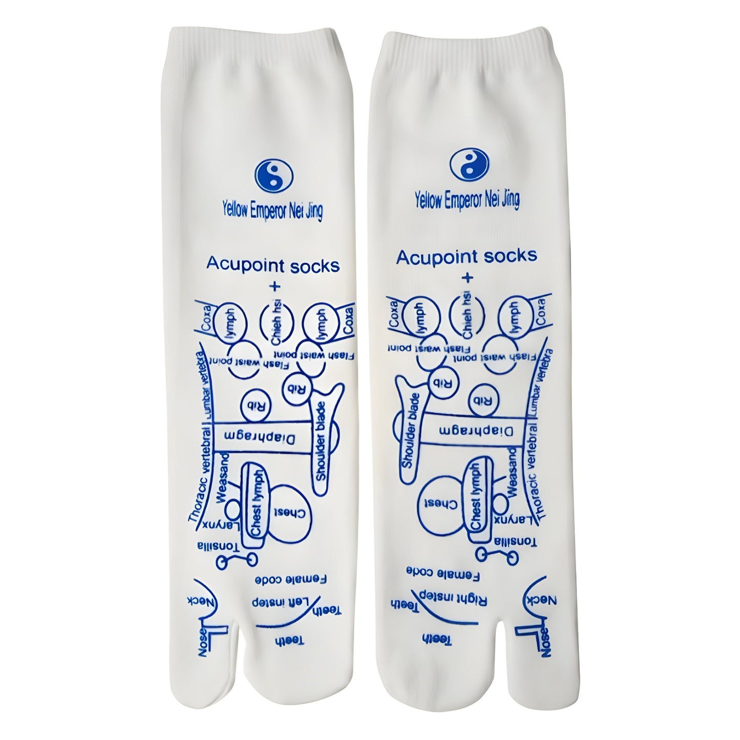 [Foot acupoint socks + triangular sparrow acupoint pen] Foot meridian massage 100 acupoints illustrated socks + triangular sparrow acupoint pen